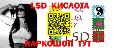 spice Камышлов