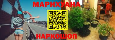 apvp Канаш