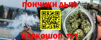 spice Камышлов